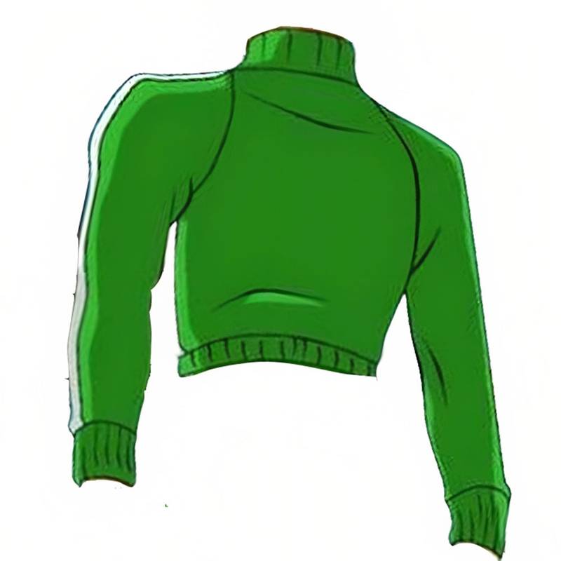 Dragon Ball Z Gohan Tracksuit Jacket2 - Famous Jackets Dragon Ball Z Gohan Tracksuit Jacket2